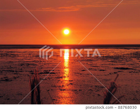 Morning and evening 88768030