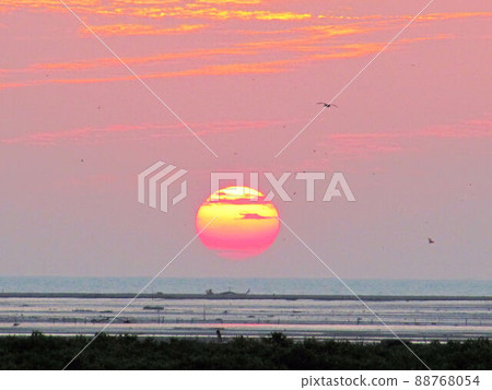 晨曉黃昏夕彩 88768054