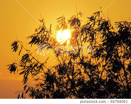 晨曉黃昏夕彩 88768061