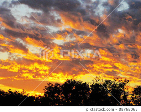 晨曉黃昏夕彩 88768065