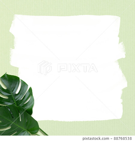 熱帶大氣背景素材 88768538