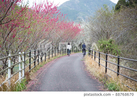 Spring Maple Ayama Cycling Road 88768670