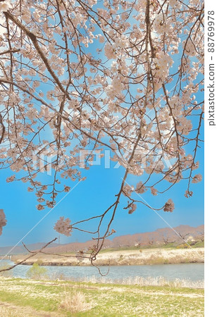 Pop scenery 88769978