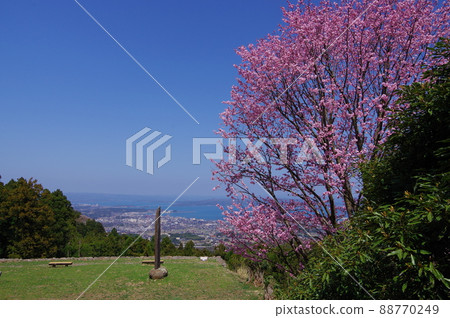 日本百城之一的石川縣七尾市七尾城遺址 88770249