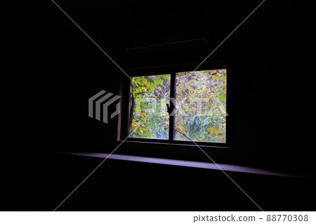 Light shining through the window into the ruins of darkness Light shining through the window into the ruins of darkness 88770308