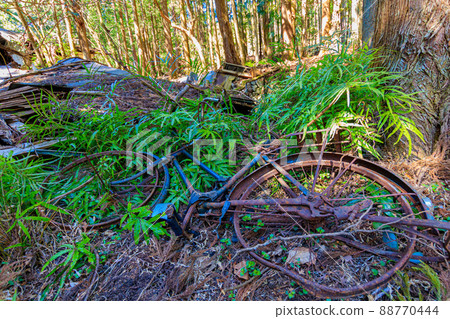 一棟完全被毀壞的房子和一輛生鏽破爛的自行車 一棟完全被毀壞的房子和一輛生鏽破爛的自行車 88770444
