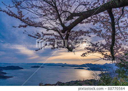 （香川縣）以瀨戶內海為背景的休出山櫻花，日出 88770564