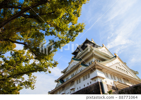 Osaka Castle Looking Up 88771064
