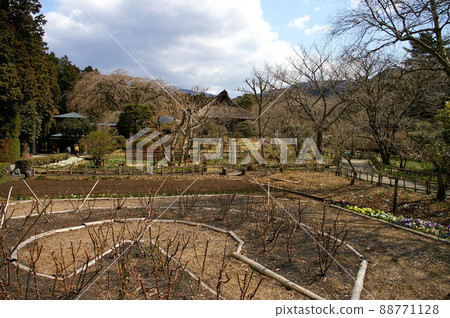 Gotemba Chichibunomiya Memorial Park 88771128