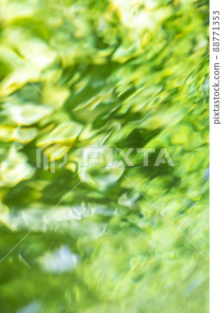 背景材料：新鮮的綠色，清澈的溪流，水邊的生態形象（寶木町，大仙） 88771353