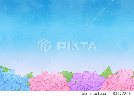 背景材料_水彩風格_繡球花 背景材料_水彩風格_繡球花 88772206