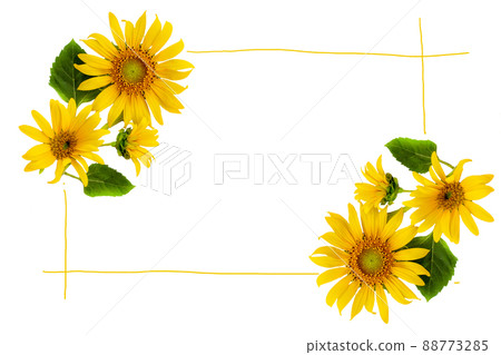 yellow flowers sunflowers arrangement flat lay postcard style 88773285