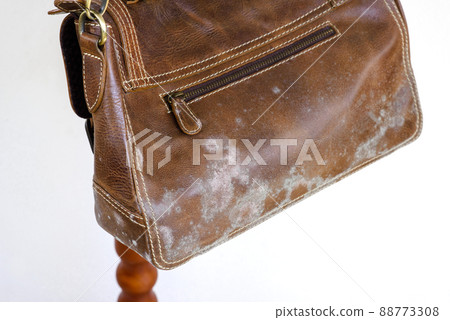 mould on bag mould on bag 88773308