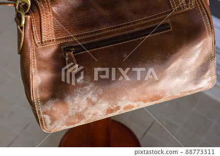 mould on bag mould on bag 88773311