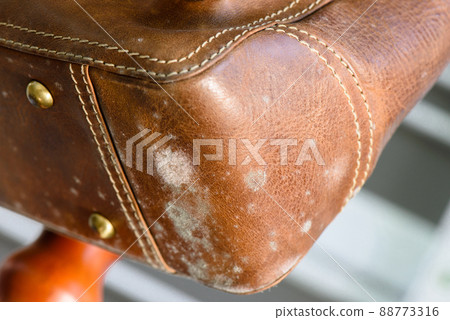 mould on bag 88773316