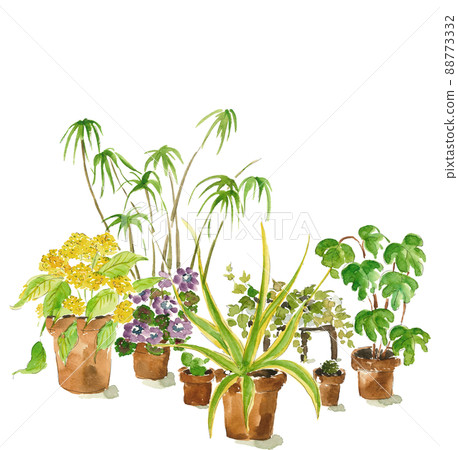 Various kinds of potted plants [Hand-painted watercolor] White background Transparent background Copy space 88773332