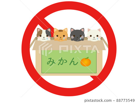 Abandoned cat protection crying expression Abandoned cat protection crying expression 88773549