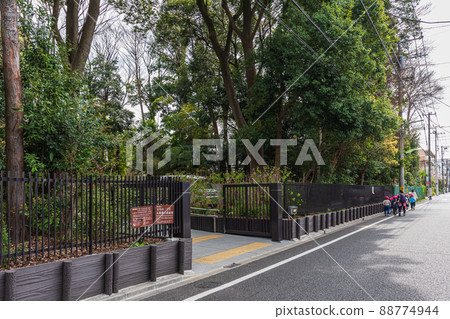 Spring Setagaya walk, Tamagawadai 2-chome Goro-sama no Mori Ryokuchi Spring Setagaya walk, Tamagawadai 2-chome Goro-sama no Mori Ryokuchi 88774944