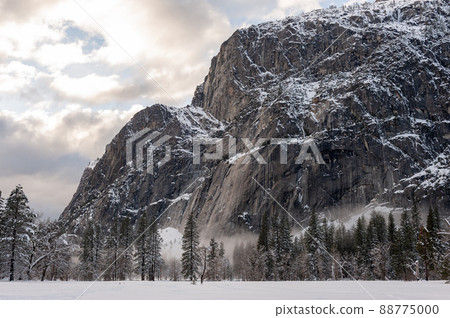 Misty valley floor Misty valley floor 88775000