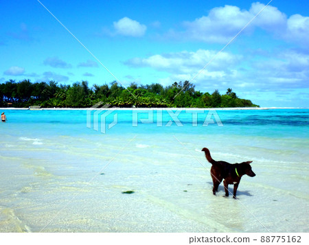 Rarotonga Muri Beach (Muri Beach) 88775162