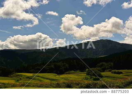 From the rice terraces of Bekku 88775203