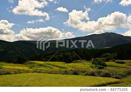 From the rice terraces of Bekku 88775205