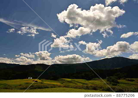 From the rice terraces of Bekku 88775206