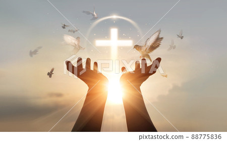 Man hands palm up praying and worship of cross, eucharist therapy bless god helping, hope and faith, christian religion concept on sunset background. 88775836