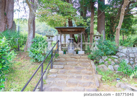 Tomb of the source tomb 88775848