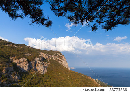 Crimean landscape with Black Sea coast on a sunny day. Pine tree branches Crimean landscape with Black Sea coast on a sunny day. Pine tree branches 88775888