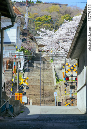 櫻花、春天的尾道小巷和鐵路道口 櫻花、春天的尾道小巷和鐵路道口 88776523
