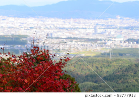 從京都吉峰寺院內看 88777918