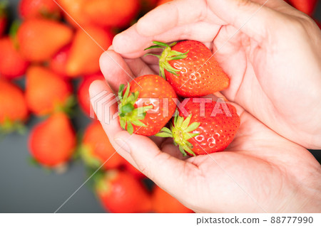 Hold a lot of large strawberries that look fresh and delicious Hold a lot of large strawberries that look fresh and delicious 88777990