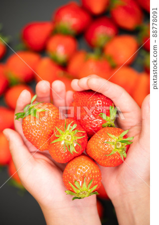 A child holds a large strawberry that looks delicious A child holds a large strawberry that looks delicious 88778091