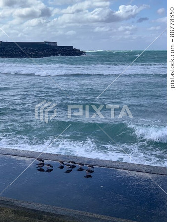 Good friend parents Good friend parents 88778350