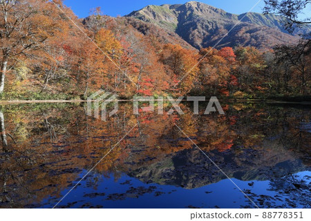 [November, Ono City, Fukui Prefecture] Kariike Pond, a famous place for autumn leaves and water mirrors 88778351