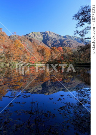 [November, Ono City, Fukui Prefecture] Kariike Pond, a famous place for autumn leaves and water mirrors 88778352