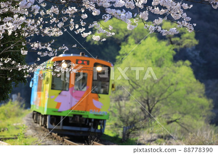 春風中行駛的地方列車（圖） 88778390