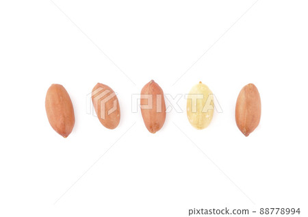 去皮花生 去皮花生 88778994