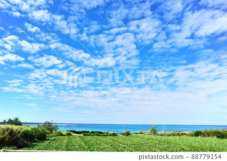 Scenery of Shimojishima (Okinawa, Miyakojima, Shimojishima) 2 88779154
