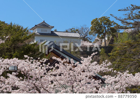 Balance turret from Hikone Castle Ninomaru in spring 88779350