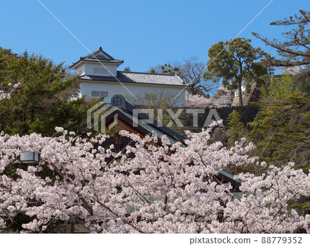 Balance turret from Hikone Castle Ninomaru in spring 88779352