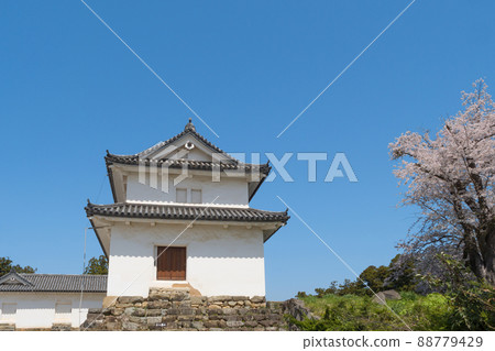 Spring Hikone Castle Ninomaru Sawaguchi Tamon Tower 88779429