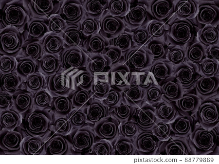 Impossible color, black rose carpet 88779889