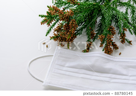 Sugi pollen mask allergy Sugi pollen mask allergy 88780145