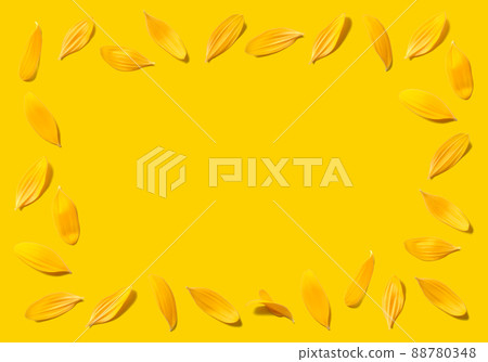 The yellow background is fashionable! Sunflower petal frame The yellow background is fashionable! Sunflower petal frame 88780348