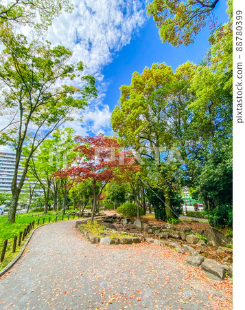 東京板橋、新綠高島平綠地 88780399