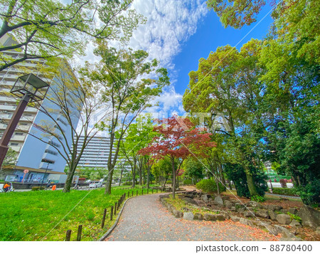 東京板橋、新綠高島平綠地 東京板橋、新綠高島平綠地 88780400