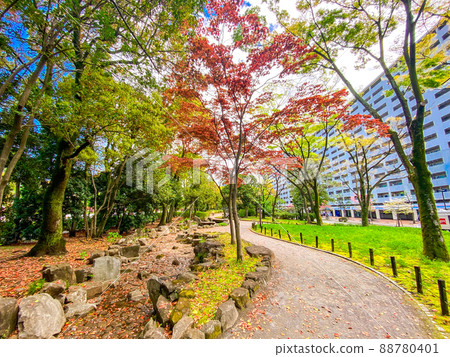 Tokyo Itabashi, fresh green Takashimadaira green space 88780401