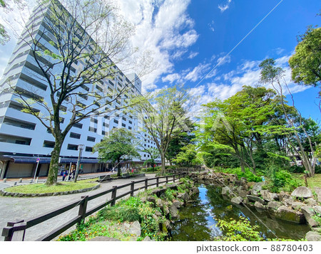 Tokyo Itabashi, fresh green Takashimadaira green space Tokyo Itabashi, fresh green Takashimadaira green space 88780403